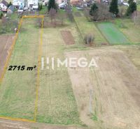 Panoramatický pohled na stavební pozemek v Zemplínských Hámrech vhodný pro bydlení, rozloha 2715 m².
