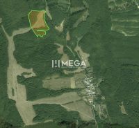 Letecká mapa zemědělských a lesních pozemků v okolí vesnice Maškovce.