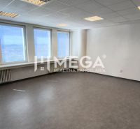 Prostorné kanceláře s několika okny a podlahou s dřevěným dekorem.