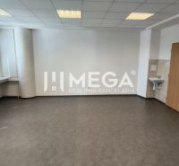 Prostorná kancelář s podlahou s dřevěným dekorem, umyvadlem a velkými okny.