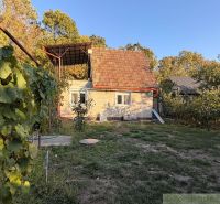 Chata v Nových Zámcích s terasou, obklopená přírodou a vinicí na pozadí lesa.