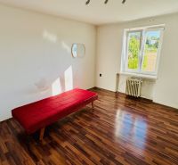 Jednoduchý interiér 1-pokojového bytu s podlahou s dřevěným dekorem a červenou pohovkou.