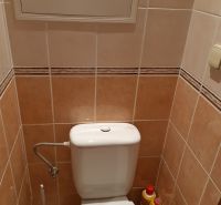 Koupelna s toaletou v 2-pokojovém bytě, světlé obklady, čisticí prostředky, splachovací nádržka.