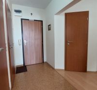 Chodba ve 3-pokojovém bytě s podlahou s dřevěným dekorem a dveřmi.