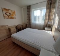 Ložnice s velkou postelí, podlahou s dřevěným dekorem a dekorativním obrazem v 3-pokojovém bytě.