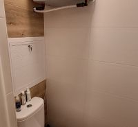 Toaleta s podlahou s dřevěným dekorem v 3-pokojovém bytě.