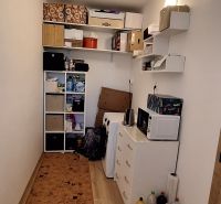 Kompaktní komora s regály, skříní a podlahou s dřevěným dekorem ve 3-pokojovém bytě.