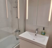 Koupelna v 3-pokojovém bytě s vanou, zrcadlovou skříňkou a podlahou s dřevěným dekorem.