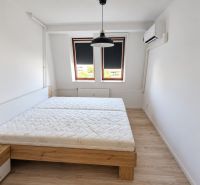 Ložnice s postelí, klimatizací a podlahou s dřevěným dekorem v 2pokojovém bytě.