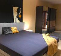 Ložnice s manželskou postelí, šatní skříní a abstraktním uměním v 2pokojovém bytě.