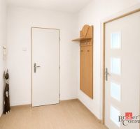 Předsíň ve 3-pokojovém bytě s věšákovou stěnou a podlahou s dřevěným dekorem.