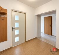 Chodba 3pokojového bytu s věšákem a podlahou s dřevěným dekorem.