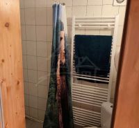 Koupelna v chatě s kachličkovou stěnou, závěsem a topným tělesem.