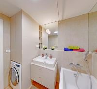 Koupelna v 2-pokojovém bytě s moderní umyvadlovou skříňkou a pračkou působí útulně.