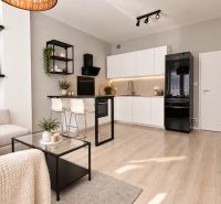 Stylový 2-pokojový byt s podlahou s dřevěným dekorem a moderní kuchyní.