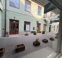 Obchodní prostory v Topoľčanech s kamenným obkladem a květináči na dlážděné ulici.