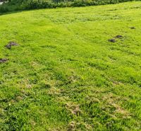 Travnatý pozemek u rodinného domu na Košariskách v Oščadnici, podél plotu.