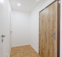 Vstupní chodba 2pokojového bytu s podlahou s dřevěným dekorem a dřevěnými dveřmi.