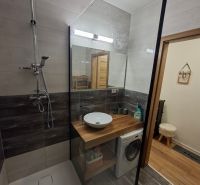 Koupelna s umyvadlem, sprchovým koutem a pračkou v 1-pokojovém bytě, podlaha s dřevěným dekorem.