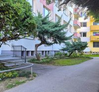 Chodník obklopený zelení a stromy u garsonky na Dlouhé ulici v Nitře - Chrenové.