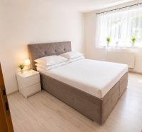 Ložnice s postelí, nočními stolky a podlahou s dřevěným dekorem v 2-pokojovém bytě.