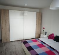 Ložnice s podlahou s dřevěným dekorem v 1+kk bytě, šatní skříň a postel.