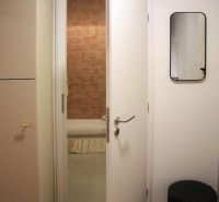 Interiér 1-pokojového bytu s otevřenými dveřmi, zrcadlem a podlahou s dřevěným dekorem.