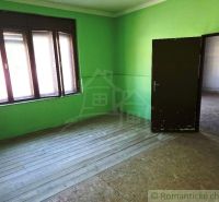 Místnost v obchodních prostorách se zelenými stěnami a podlahou s dřevěným dekorem.