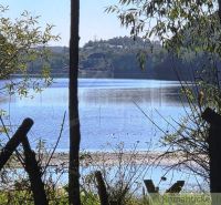 Výhled na jezero mezi stromy v Zahradách v Krupině.