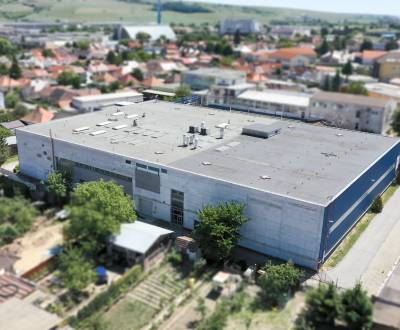 Prodej Haly a sklady, Haly a sklady, Kalinčiakova, Hlohovec, Slovensko