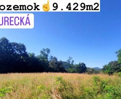Prodej Pozemky - rekreace, Pozemky - rekreace, Banská Bystrica, Sloven