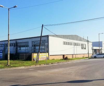 Pronájem Haly a sklady, Haly a sklady, Zlatovská, Trenčín, Slovensko