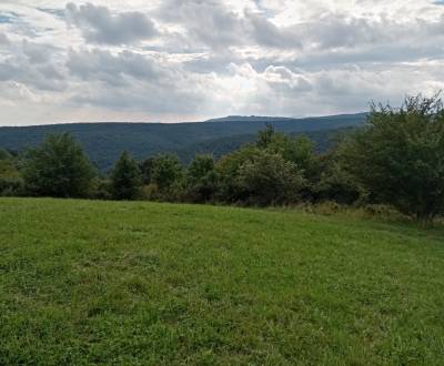 Prodej Pozemky - rekreace, Zlaté Moravce, Slovensko