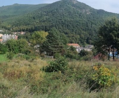 Prodej Pozemky - bydlení, Žarnovica, Slovensko