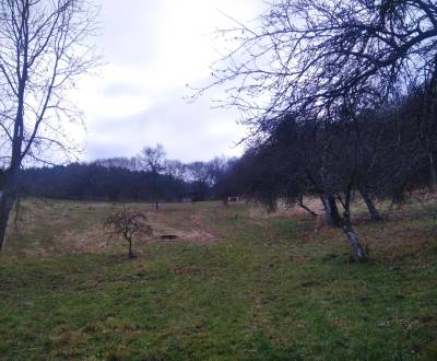 Prodej Developerské pozemky, Vieska Bezdedov, Púchov, Slovensko