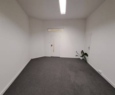 Pronájem Kancelářské prostory, Kancelářské prostory, Levická, Nitra, S