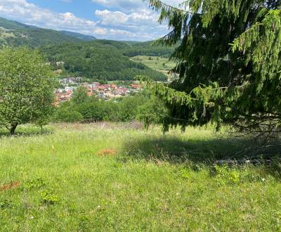 Pozemky - bydlení, prodej, Detva, Slovensko