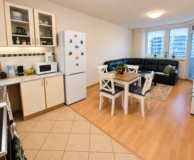 BEZ PROVÍZIE-Pronájem 2i (55,24 m2),10/13,LOGGIA,GARÁŽ, Jégeho, BAII