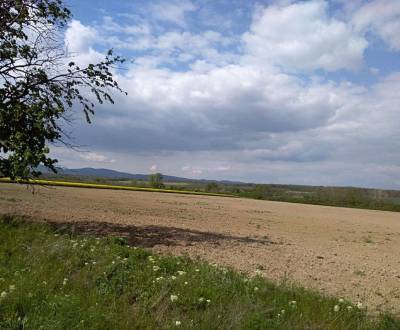 Hledáme Pozemky - bydlení, Pezinok, Slovensko