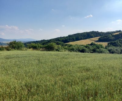 Prodej Pozemky - bydlení, Košice-okolie, Slovensko
