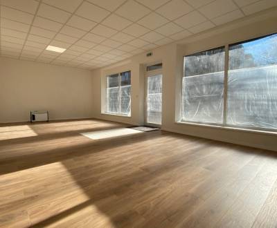 Hledáme Prostory pro výrobu, Prostory pro výrobu, Považská Bystrica, P