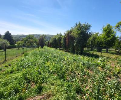 Prodej Pozemky - bydlení, Pozemky - bydlení, Neusiedl am See, Rakousko