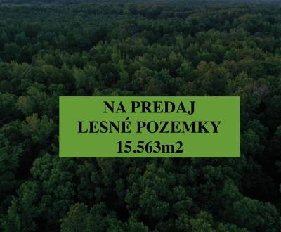 Prodej Zemědělské a lesní, Zemědělské a lesní, Senica, Slovensko