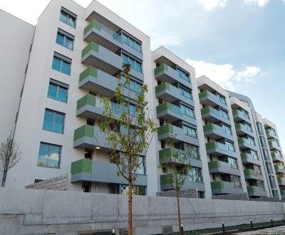 A103,  2-izb. byt s predzáhradkou s terasou v novostavbe Zelené Záluhy