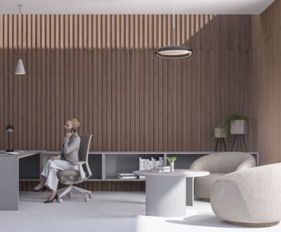 Prodej Prostory pro obchod, Prostory pro obchod, Kubániho, Zvolen, Slo