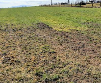 Hledáme Pozemky - bydlení, Pozemky - bydlení, Považská Bystrica, Slove