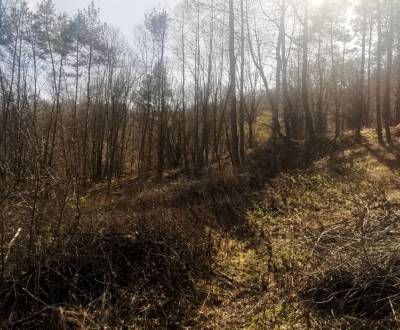 Prodej Pozemky - rekreace, Pozemky - rekreace, Vodárenská, Vranov nad 