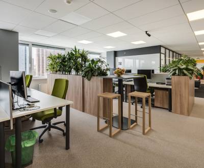 Moderní kancelářské prostory ve širším centru (od 17 m2 do 173 m2)
