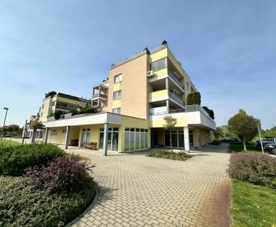 Prodej Prostory pro obchod, Prostory pro obchod, K lodenici, Piešťany,