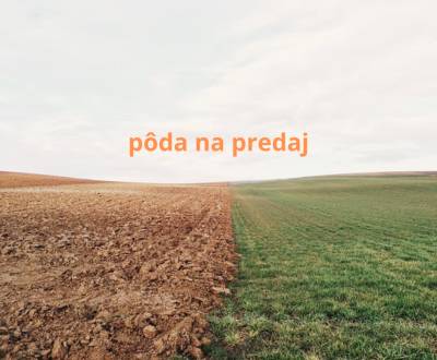 Prodej Zemědělské a lesní, Zemědělské a lesní, Žilina, Slovensko